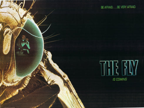 the fly 1986 british quad poster rolled