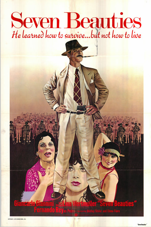 seven beauties 1976 one sheet poster folded