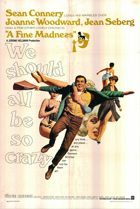 a fine madness 1966 one sheet poster folded