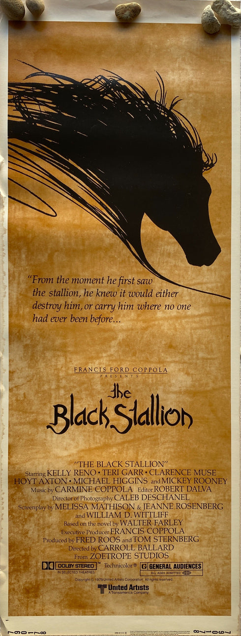 black stallion 1979 insert card