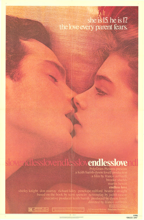 endless love 1981 one sheet poster folded
