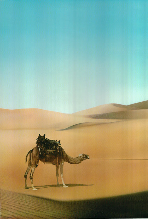 ishtar 1987 one sheet poster rolled (no text)