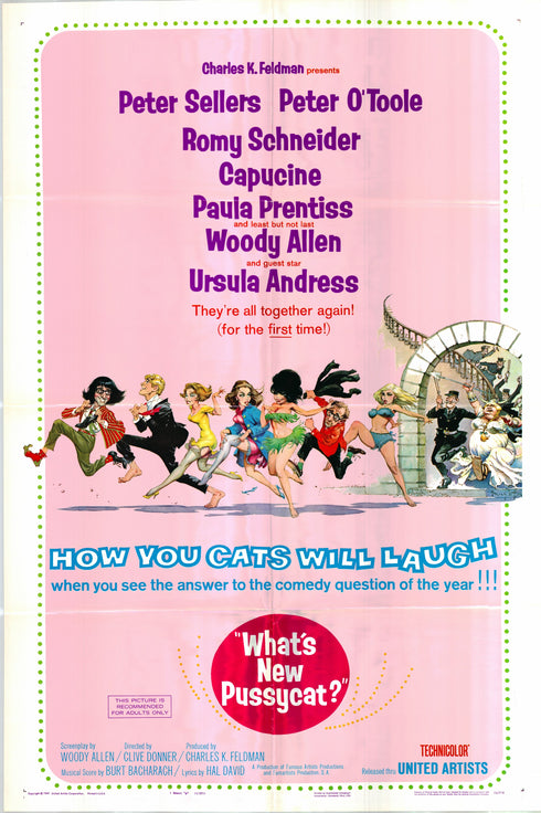 what's new pussycat 1965 one sheet poster folded